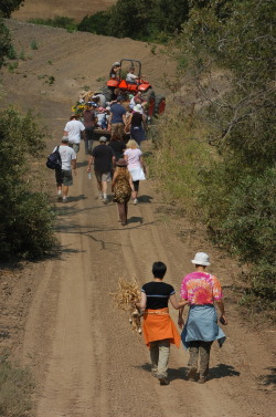 Harvest walk during mini-camp