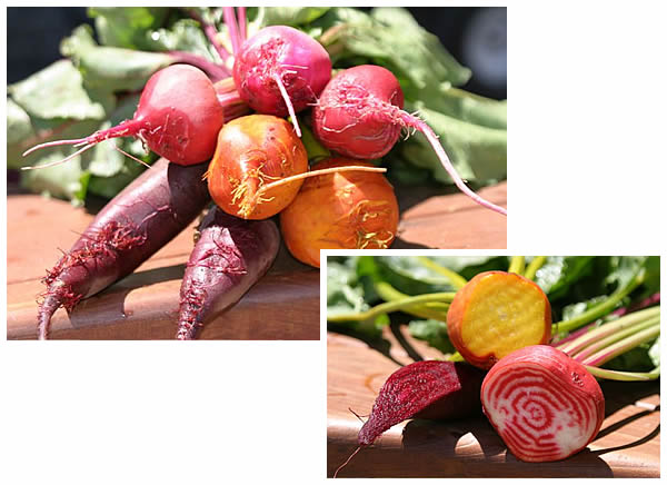 beet medley
