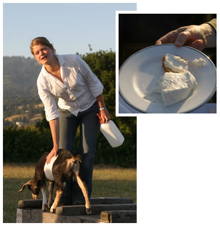 Bernie with goat and a plate of her cheese