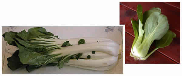 Bok choi and Mei Qing Choi compared