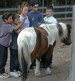Peanut the pony with a bunch of skeptical kids