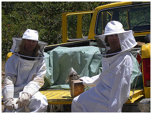 Noah and David in bee suits