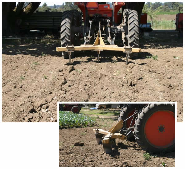deep tillage