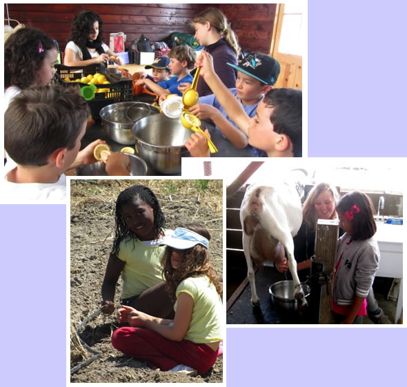 LEFDP kids making lemonade, milking Moonshadow the goat, planting pumpkin seeds