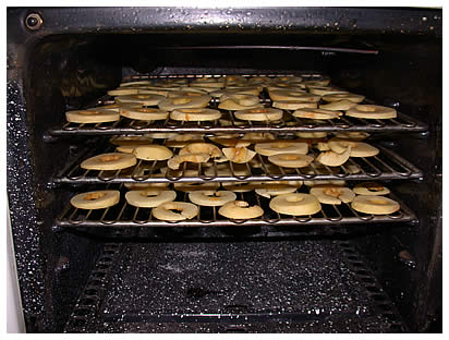 Sliced apples spread on oven racks to dry