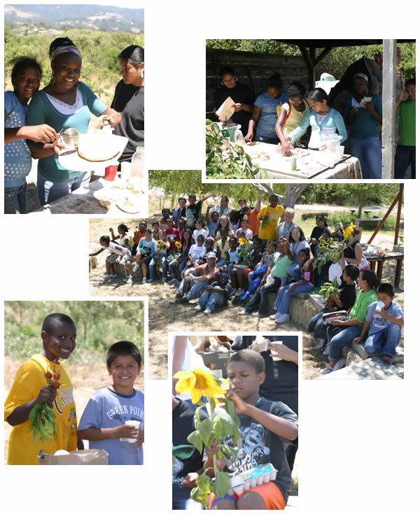 kids visiting the farm