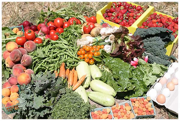 summer crop diversity