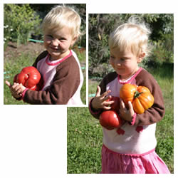 Elisa with an armload of heirloom tomatoes