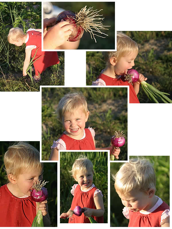 Elisa and onion