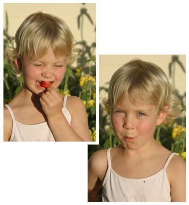 Elisa munching on a spring strawberry