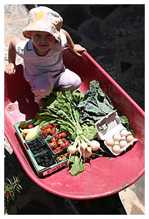 Elisa in wheelbarrow with farm fruit and veggies
