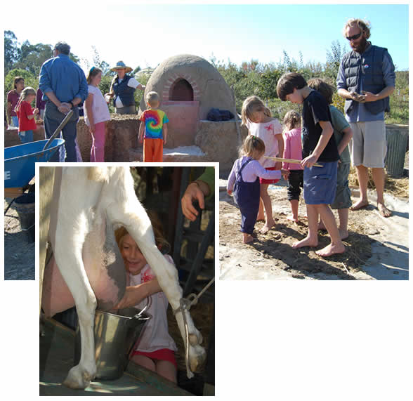 Workin' on the cob oven and milking the goat!