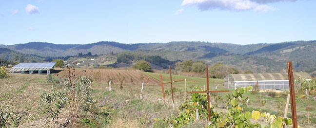 Farm panorama