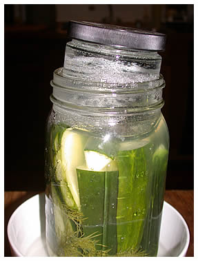 cucumbers fermenting to pickles