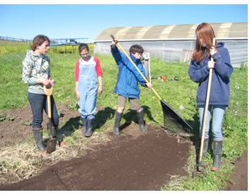 Montessori Wavecrest Field Studies Group doing fieldwork