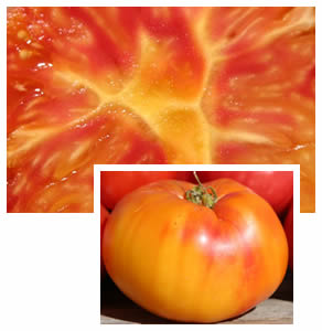 tomato as art