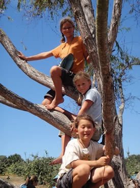 Three girls in a willow tree