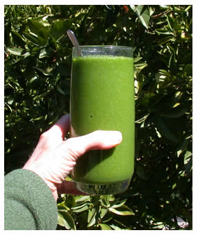 Apple Ginger Green Smoothie - a beautiful emerald green!!