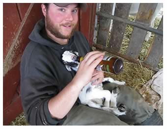 Jeff Boesch bottle feeds a newborn baby goat