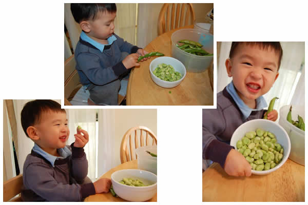 Jennifer Chen's son shelling fava beans