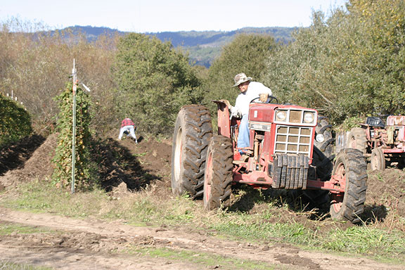 Juanio on tractor
