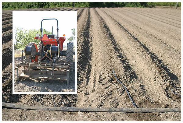 driptaped beds; tractor with driptape spools