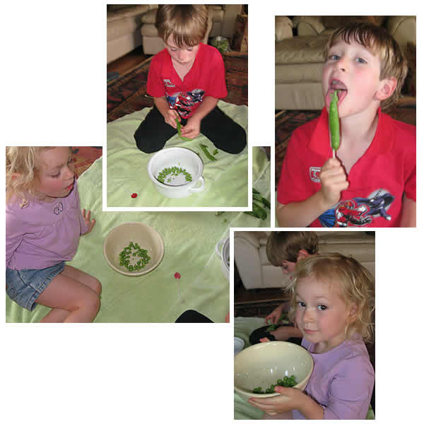 Fresh shelled peas and abandoned lollipops