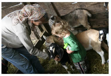 Lynn Selness, her niece, and baby goats