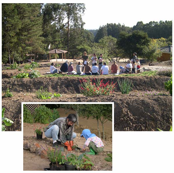 Mataganza Garden project