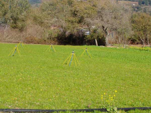 Chicken Pasture