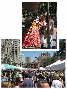 Union Square Farmers Market 1