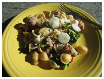 Orecchiette and Broccoli Salad