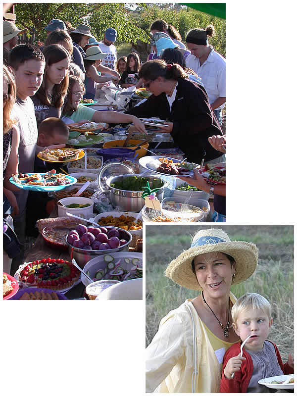the potluck spread