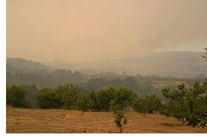 smoke-filled sky
