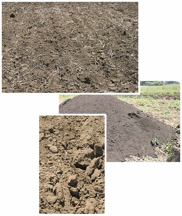 Rich, brown soil and organic compost