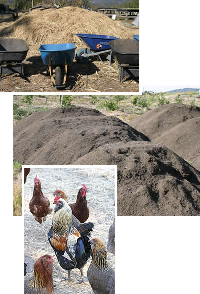 images of different sources of soil fertility