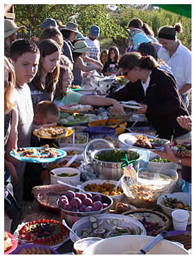 Solstice potluck, June 2007