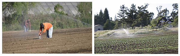 sprinkler irrigation repair and operation