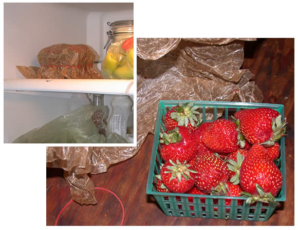 storing fresh strawberries to last