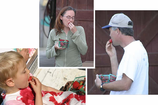 Elisa, Gillian and Tom eating strawberries