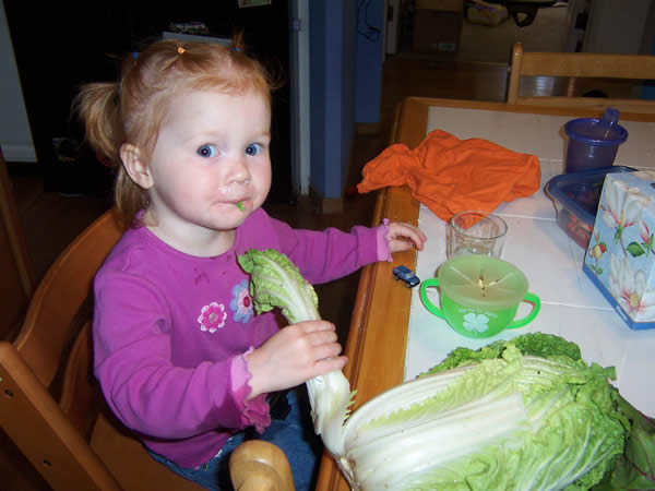 toddler with napa cabbage