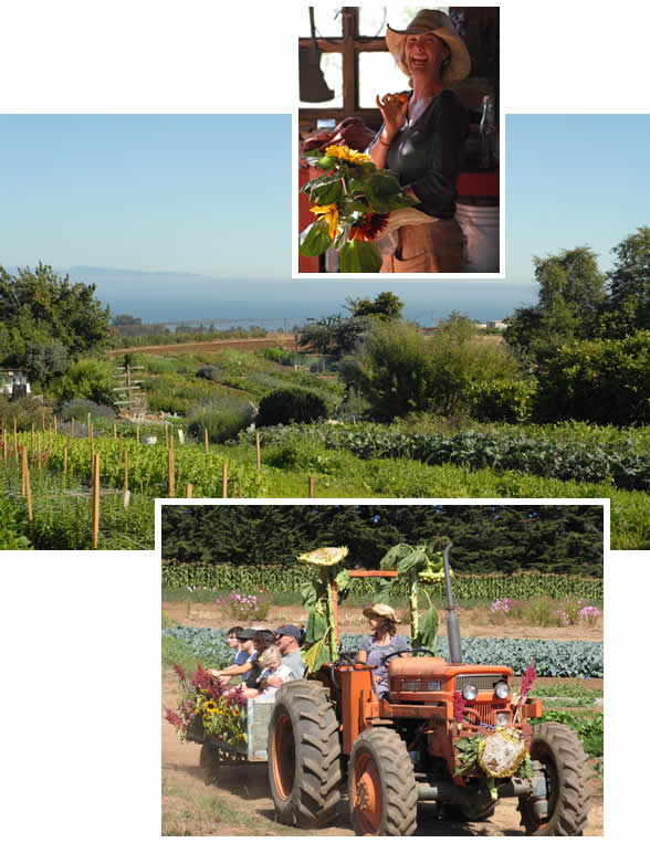 The UCSC Farm & Garden