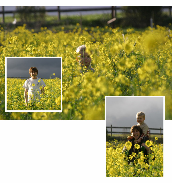 David, Constance, Elisa in field of mustard flowers