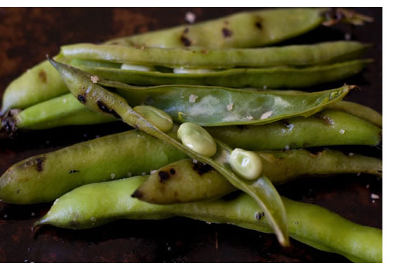 Heidi Swanson's photo of grilled fava beans