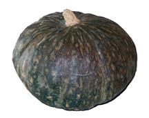 kabocha squash