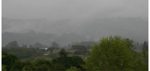 misty hills on the farm