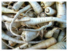 Mariquita's parsnips