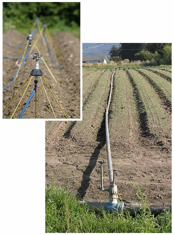 Overhead sprinkler irrigation systems