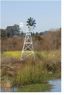 windmill by pond