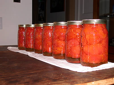 Seven jars of tomatoes, after processing